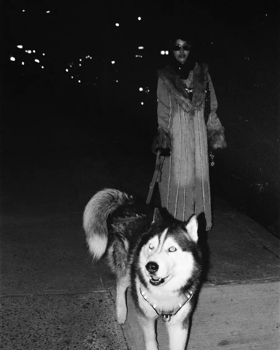 Paseo nocturno con un husky, abrigo largo, en blanco y negro
